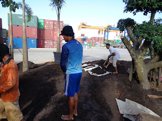 TUKANG TAMAN SURABAYA-JASATAMAN