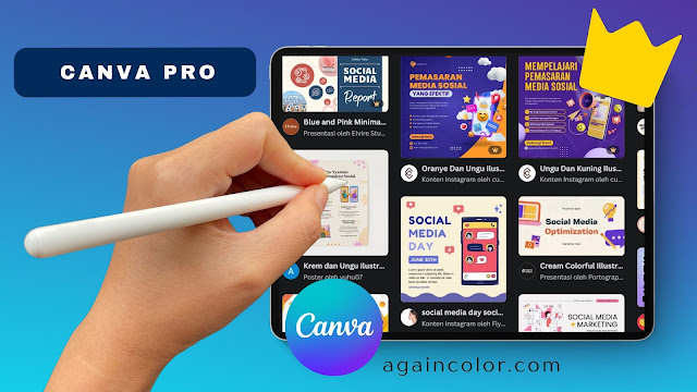 Manfaat Berlangganan Canva Pro untuk Freelancer dan Content Creator