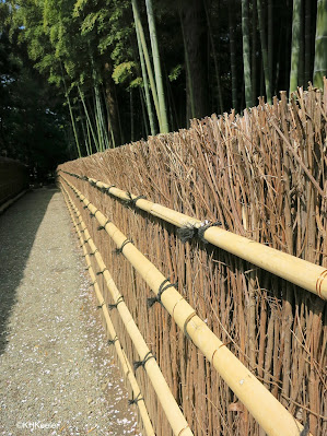 bamboo fence