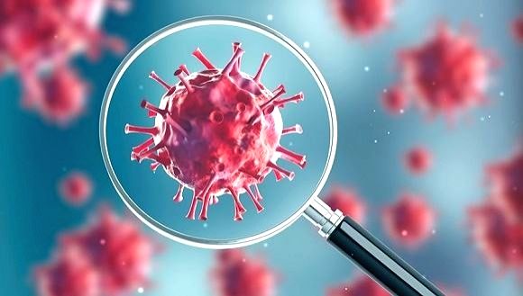 new strain of coronavirus found in south africa