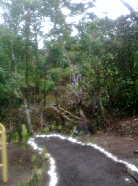 The footpath leading to the waterfalls