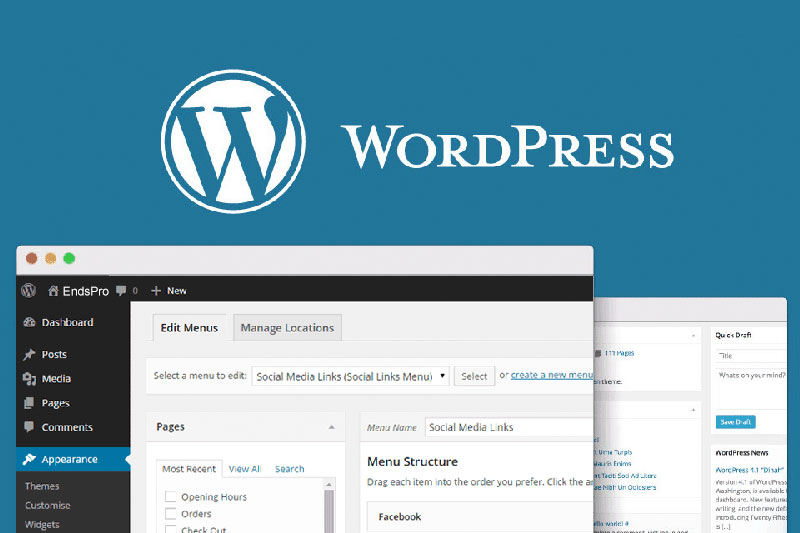 tutorial website wordpress