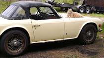 RIP Best Shop Cat Ever