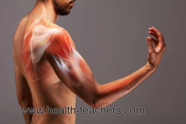 Back pain, Muscle pain, and treatment - Health-Teachers