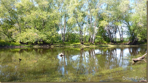 Great meadows with Kathie_035