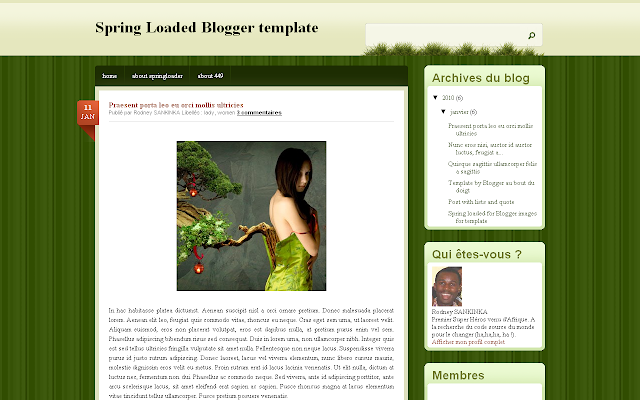 Hébergez les images de votre modèle sur Blogger: Bande passante(bandwidth) illimitée