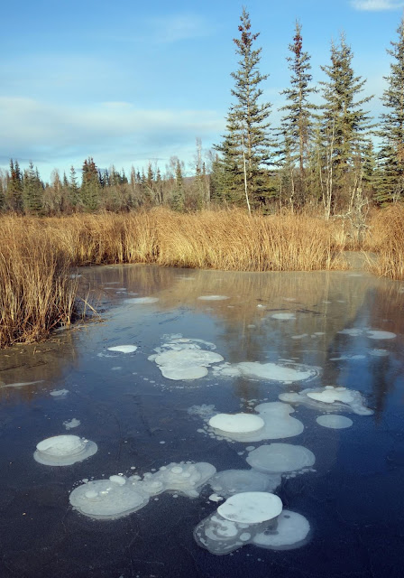  Methane released past times thawing permafrost from some Arctic lakes could significantly acceler For You Information - 'Abrupt thaw' of permafrost beneath lakes could significantly ship upon climate modify models