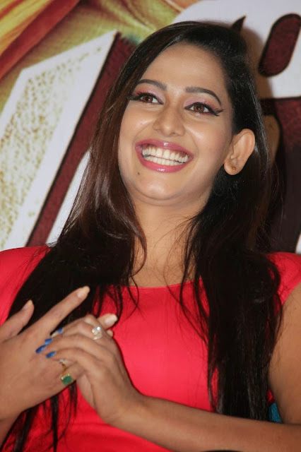 Actress Sanjana Singh  Pictures in Short Dress at Meagamann Movie Success Meet  27.jpg