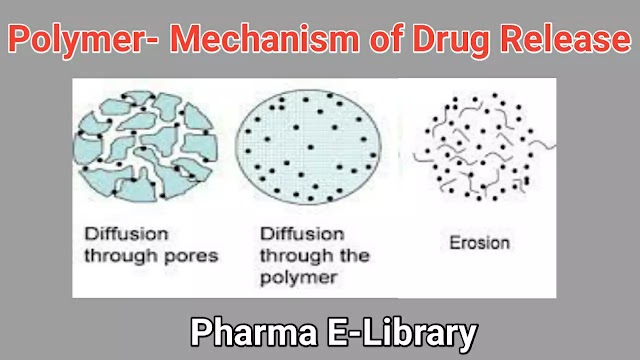 Polymer- Mechanism of Drug Release brief explaination