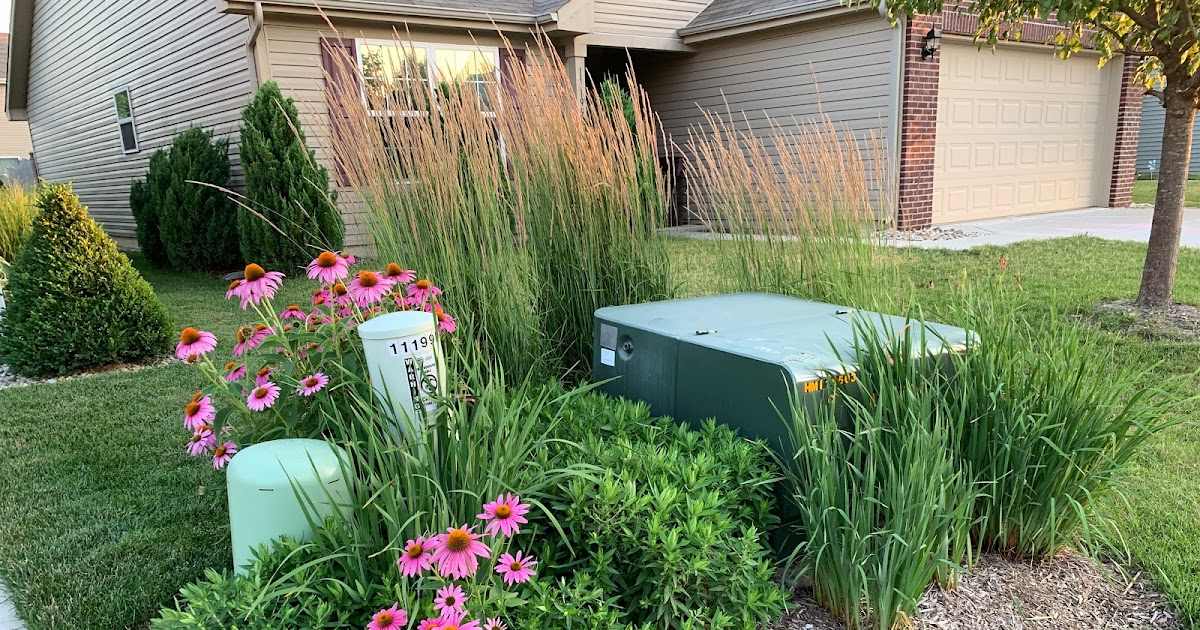 Backyard Neophyte Landscaping Blog: Great Utility Box Plant