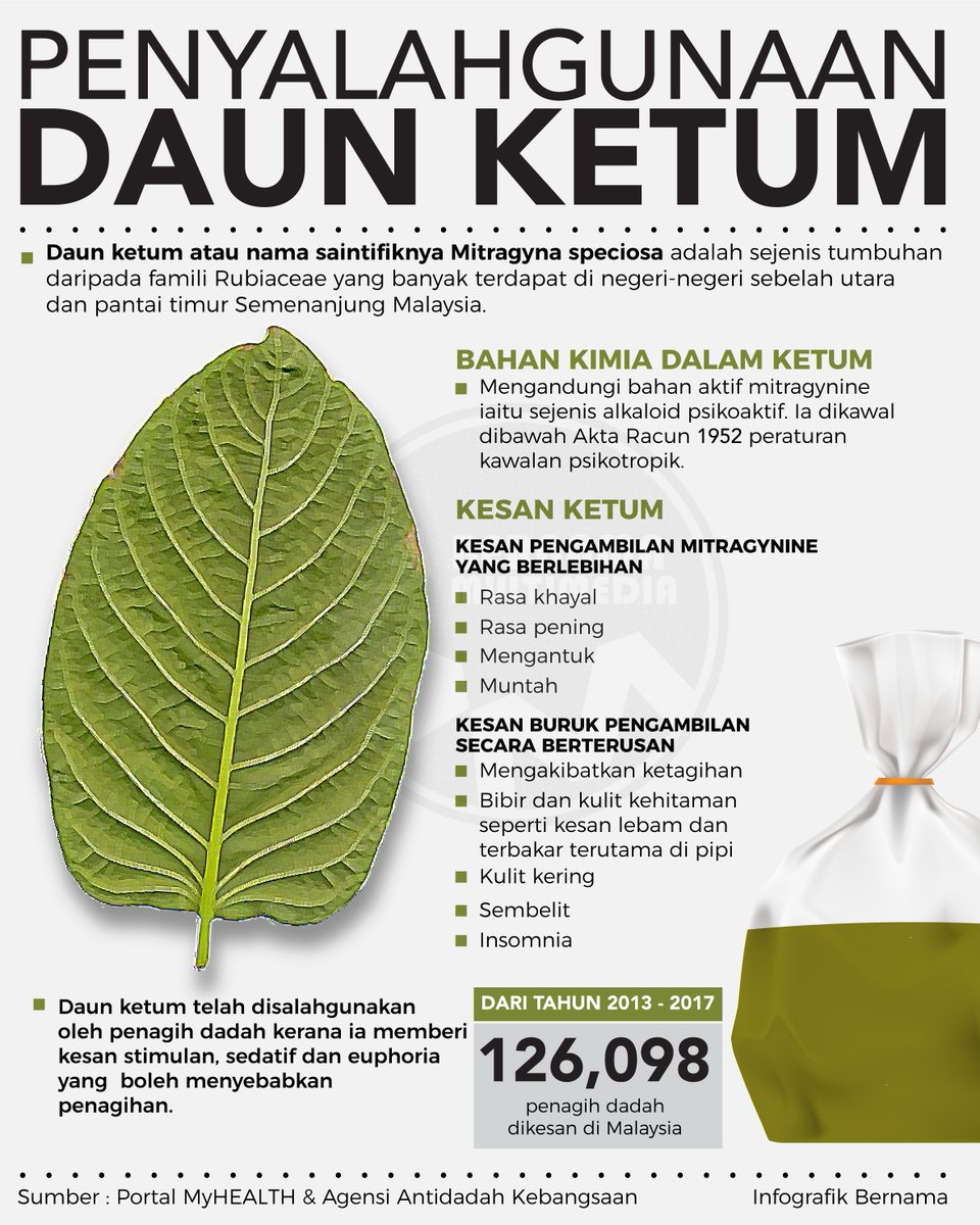 Ketum bukan penyelesaian penyakit kencing manis, darah 