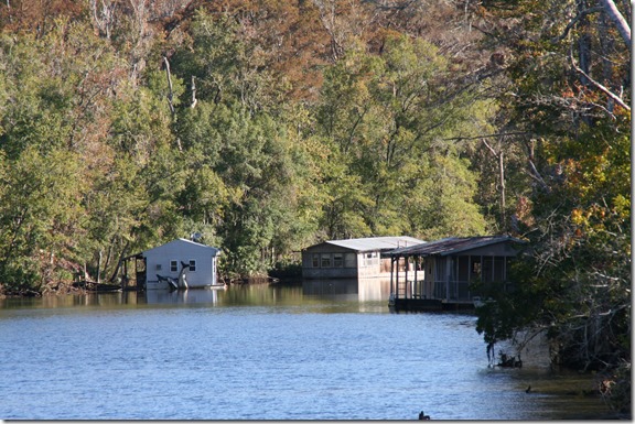 ScipioCreek 15Nov (11)