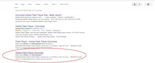 Download and install adobe flash player