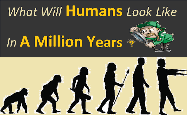 How Will People Look Like In Million Years? | Majestic Fact