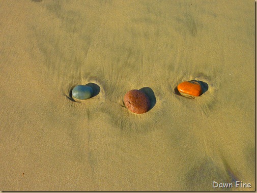 beach combing n of florence_014