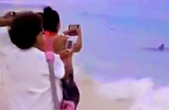 Tiburón en Playa Delfines: filtran video de escualo deambulado a escasos metros de la orilla, bañistas registran hechos con celulares