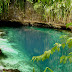 Exploring the Mystical Beauty of Hinatuan Enchanted River in Mindanao, Philippines
