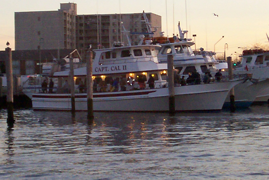 Capt Cal Party Boat Belmar "Tog Report" 12--8-12
