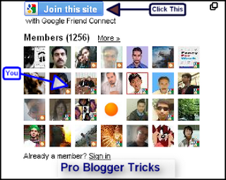 Why To Add Google Site Friends Connects Widgets In Blogger