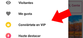 convierte cuenta vip walplog