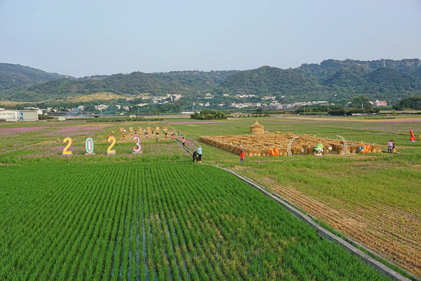 2023田中稻草藝術節在田中伯朗大道望高瞭，12公頃花海好療癒