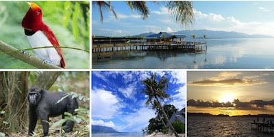 Tempat Wisata di Pulau Bacan maluku