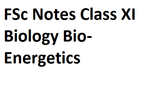 FSc Notes Class XI Biology Bio-Energetics fscnotes0