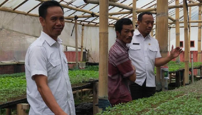 Ternyata Warga Sinjai Barat Produksi Bibit Sayuran, Berkualitas Tinggi Lho !