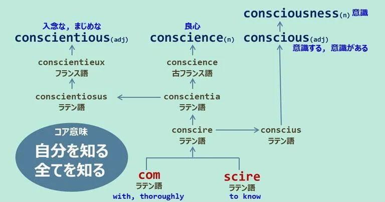 conscience, conscientious, conscious, consciousness, スペルが似ている英単語