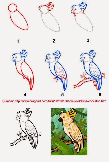 Cara Menggambar Berbagai Bentuk Burung tahap demi tahap 