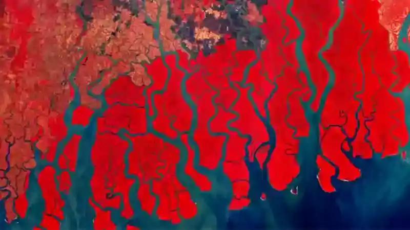 Download sentinel 2 satellite images Download sentinel 2 satellite images