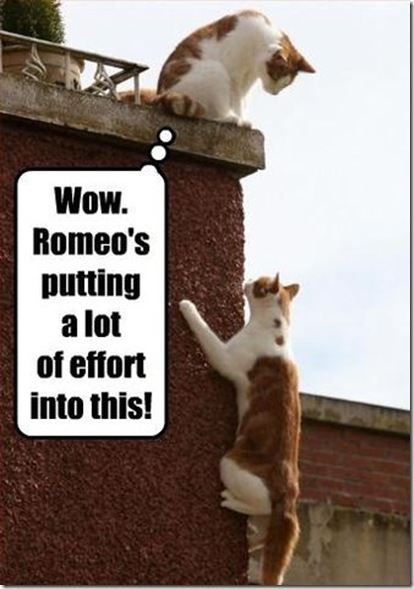 Funny Pictures: Meeting between Romeo and Juliet