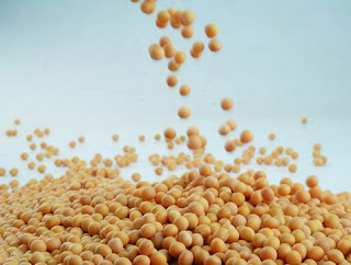 soybean for acne