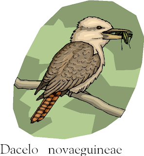 The Laughing Kookaburra Free Bird Clipart