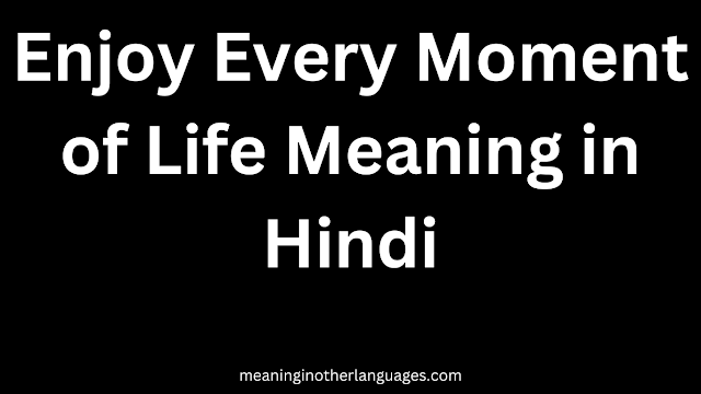 Enjoy Every Moment of Life Meaning in Hindi