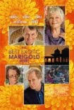 Watch The Best Exotic Marigold Hotel Online Free