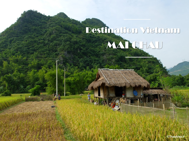 vietnam voyage 15jours mai chau nord montagne riziere