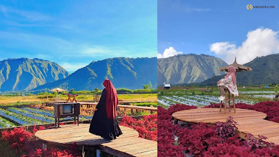 2. Selfie di Taman Bunga Kedai Sawah Sembalun