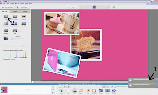 Picasa Tutorial - Collage