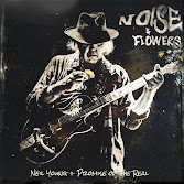 Noise & Flowers