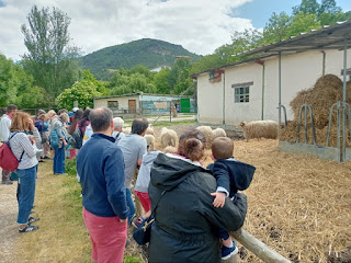 Visita a la granja