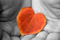 Autumn Heart1