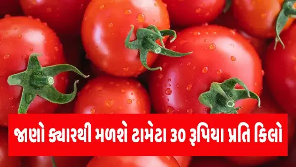 જાણો ક્યારથી મળશે ટામેટા 30 રૂપિયા પ્રતિ કિલો