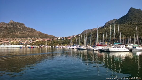 WP_20140810_061