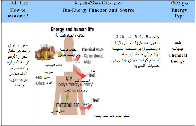 أنواع الطاقات المختلفة داخل جسم الإنسان (الطاقة الكيميائية)