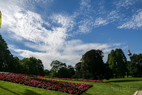 Luisenpark Mannheim und Wolken