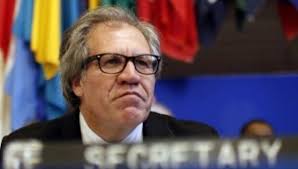 Ignorar a Almagro
