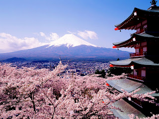 Japan Mount Fuji and Cherry Trees Blossoms HD Wallpaper