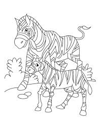 Cute Baby Zebras With Mom Coloring Pages