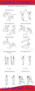 Bicep Workouts